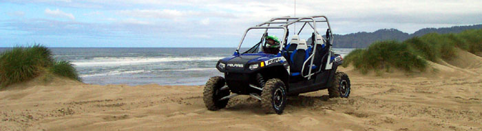 Mini Buggies are a great way to explore the Sandlake Dunes