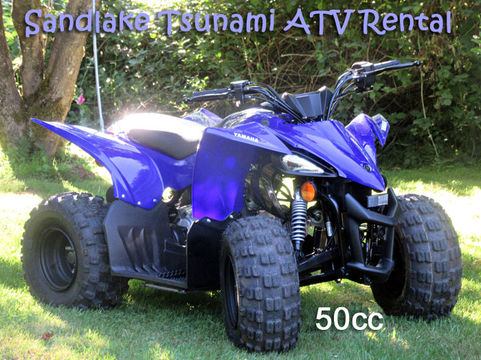 50cc Yamaha Kids Quad - automatic gas and go!